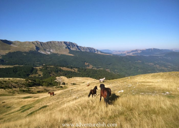 Horseback riding National Park Sutjeska-Bosnia and Herzegovina